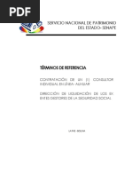 Terminos de Referencia Auxiliar de Bienes para Dlegss