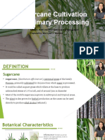 Sugarcane Cultivation and Primary Processing