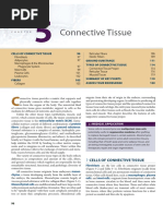 Connective Tissue