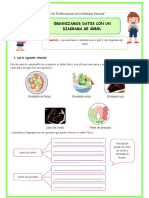 Act-Jueves-Sa-Mat-Organizamos Datos Con Un Diagrama de Árbol