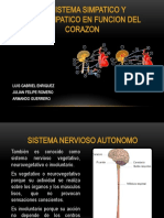 El Sistema Simpatico y Parasimpatico