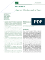 Posterior Oblique Ligament of The Knee - State of The Art