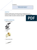 Informe Tejido de Una Cebolla