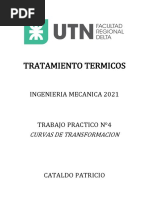 Trabajo Practico N°4 - Curvas de Transformacion