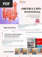 Obstruccion Intestinal