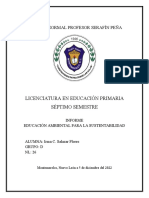 Informe Ambiental