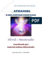 Nathaniel - O Relâmpago Essencial