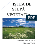 Pajistea de Stepa