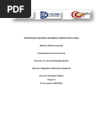 Tarea Macroeconomia - MMS