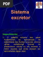 Sistema Excretor