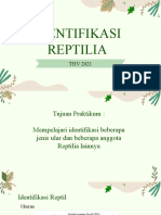 Identifikasi Reptilia