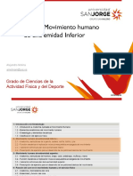 2.1.1 - Rodila, Cadera y Pelvis (Anatomia, Estructura, Función e Implicación en El Movimiento)