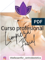 Curso Limpieza Facial Guia