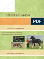 Anestesia en Equinos 2020