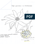 Lab 5. Diagnosis Morfologica. Nicolle Samantha Díaz P. 20192010050