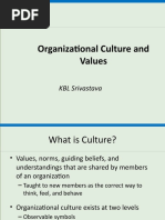 Organizational Culture and Values