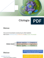 Aula 9 - Divisão Celular - MEIOSE