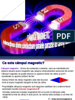 0 Campul Magnetic