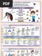 Historia Natural de Enfermedades