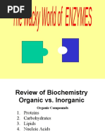 Enzymes PP