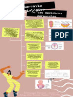 Desarrollo Embriologico de Las Cavidades Corporales