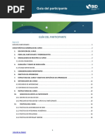 Guia Del Participante - en Síntesis