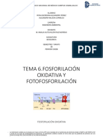 Fosforilación Oxidativa y Fotofosforilación