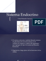 Sistema Endocrino