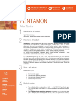 Pentamon FT