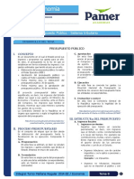 PDF Documento