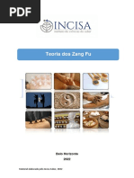 Apostila Teoria Dos Zang Fu 2022 - InCISA SABER