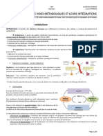 FC1 GALUSCA Rappels Des Grandes Voies Metaboliques Et Leurs Integrations 10.01