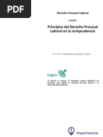 U1 - Principios Del Derecho Procesal Laboral en La Jurisprudencia