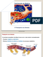 Transportes Nos Animais