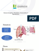 Ventilación Pulmonar