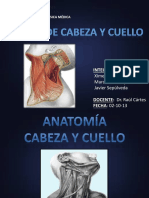 RT Cáncer Cabeza y Cuello