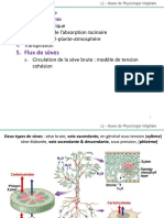 Mouvement de L'eau Dans La Plante 5