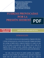 Fuerzas Provocadas Por La Presión Hidrostática