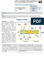 3er Año Biologia Practica - N°3