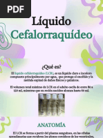 Liquido Cefalorraquideo