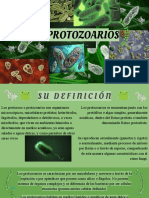 Protozaurios