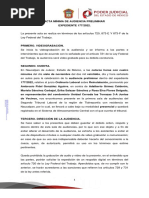 Acta de Audiencia Preliminar