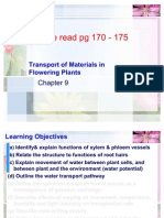 Transport of Materials in Flowering Plants + Trans Location