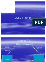 Cell Injury