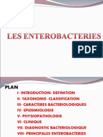 Enterobactéries