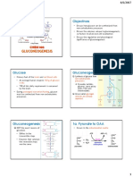 HO 17 Gluconeogenesis