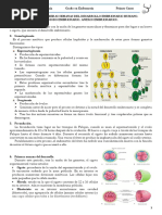 Tema 2 y 3 Desarrollo Embrionario