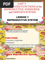 Reproductive System