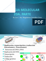 Biol. Molecular