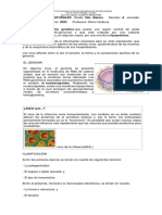 Ciencias Naturales IV Bimestre